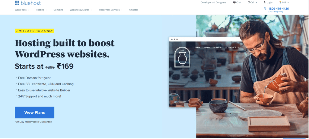 BlueHost